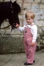 <p>Harry stands next to his pony, Smokey, at Highgrove House. </p>