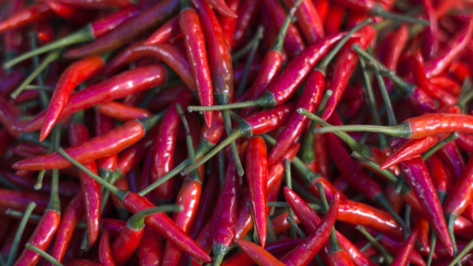 <p>There’s emerging research that when capsaicin—the stuff that puts the hot in hot peppers—hits certain receptors in the mouth and throat, it sort of jams the neuromuscular signals that were causing the cramp and makes it let go.</p><p>But if loading up on peppers isn’t ideal, there might be a solution for you. <a href="https://teamhotshot.com/" rel="nofollow noopener" target="_blank" data-ylk="slk:HotShot;elm:context_link;itc:0;sec:content-canvas" class="link ">HotShot</a>, created by Nobel Prize winner Dr. Rod MacKinnon, is a spicy drink that triggers the same nerve receptors as hot peppers. A <a href="https://pubmed.ncbi.nlm.nih.gov/28192854/" rel="nofollow noopener" target="_blank" data-ylk="slk:2017 study;elm:context_link;itc:0;sec:content-canvas" class="link ">2017 study</a> published by Penn State researchers found that the drink makes your muscles more cramp-resistant and shortens the duration of your cramp. </p>