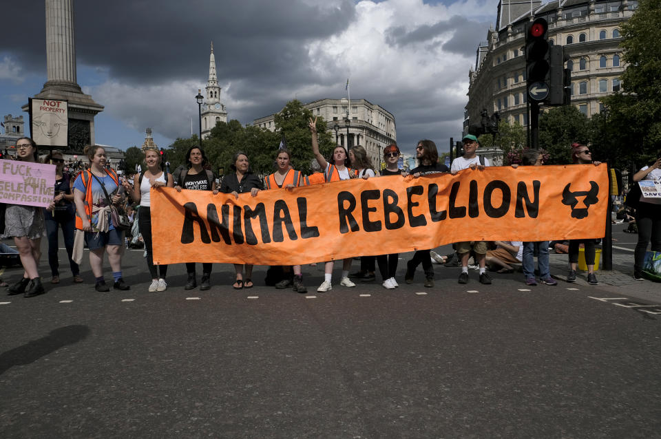 TRAFALGAR SQUARE, LONDON, UNITED KINGDOM - 2019/08/17: Activists hold a banner saying Animals rebellion during the protest in London. Animal rights activists marched in central London to protest against animal cruelty and also to demand an end on fishing, animal farming and animal experiments. (Photo by Andres Pantoja/SOPA Images/LightRocket via Getty Images)