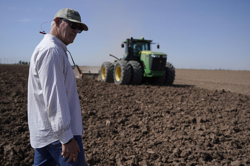 Farmer Larry Cox watches a tractor at work on a field at his farm Monday, Aug. 15, 2022, near Brawley, Calif. The Cox family has been farming in California's Imperial Valley for generations. (AP Photo/Gregory Bull)