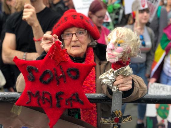 Mary McMillan, who took to the streets with a home made Trump doll (The Independent)