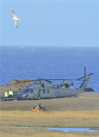 A Pave Hawk helicopter, military personnel and emergency services attend the scene of a helicopter crash on the coast near the village of Cley in Norfolk, eastern England January 8, 2014. REUTERS/Toby Melville