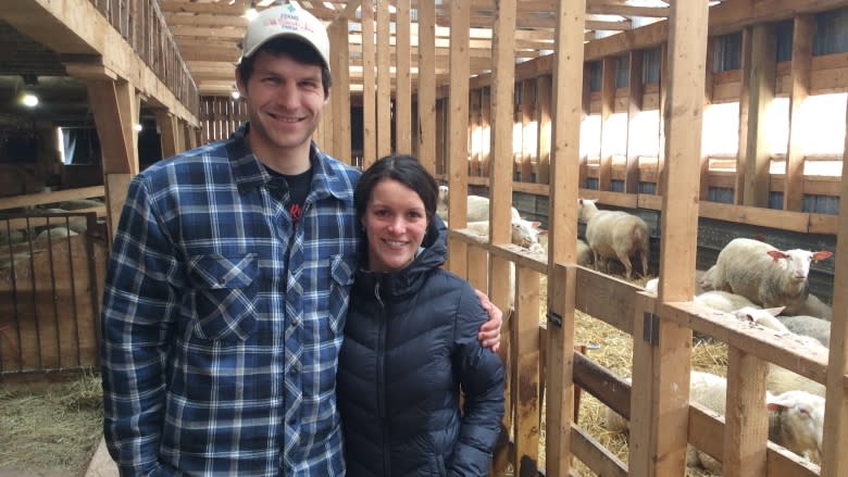 Island sheep farmers milking their way into cheese and yogurt market