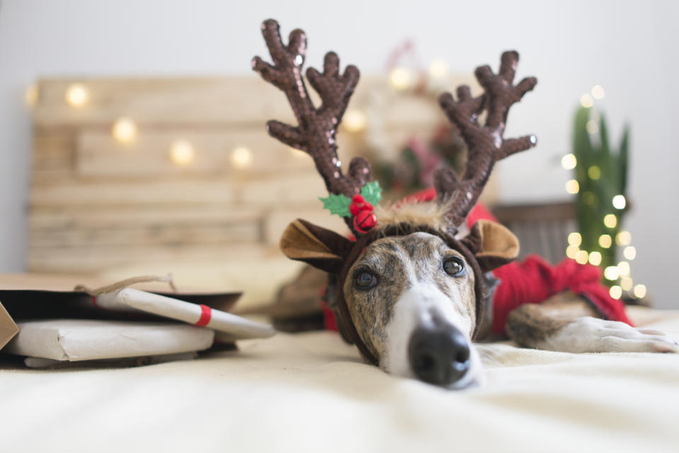 Soft add-on antlers for your reindeer wannabee. (Photo: Getty Images)