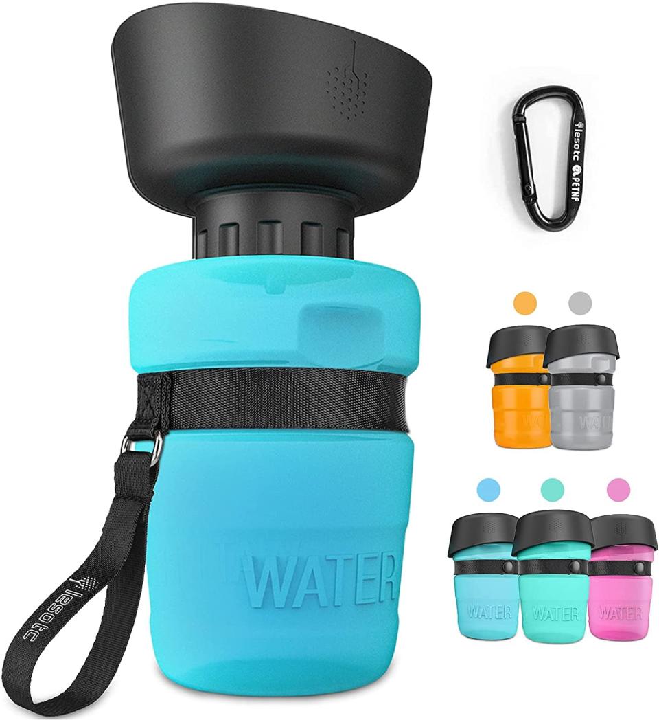 lesotc dog water bottle, how to fly with a dog