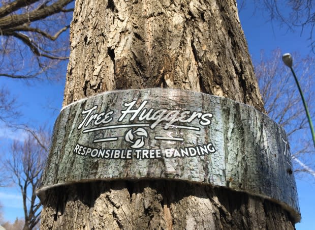 Tree Huggers