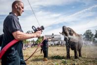 <p>Local firefighters spray water to cool down elephants of the Arene circus due to high temperatures on August 2, 2018 in Gilleleje, Denmark. (Photo: Mads Claus Rasmussen/Ritzau Scanpix/ AFP/Getty Images) </p>