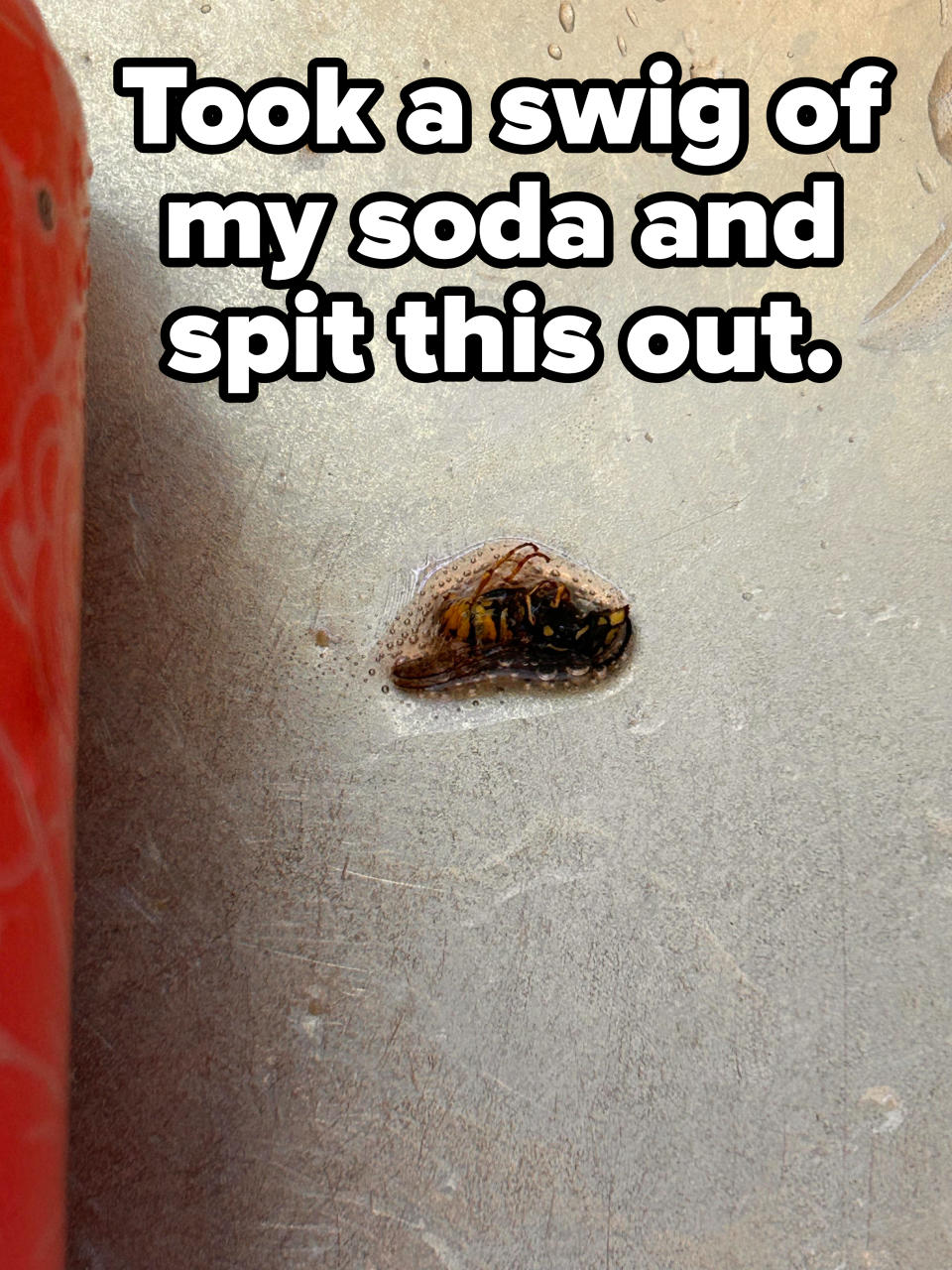 Close-up of a soaked wasp with caption "Took a swig of my soda and spit this out"