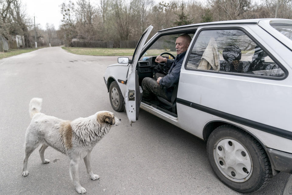 Yevgeny Markevich, 85-year-old former teacher speaks to his dog as he prepares to drive at the Chernobyl exclusion zone, Ukraine, Wednesday, April 14, 2021. Markevich said "It's a great happiness to live at home, but it's sad that it's not as it used to be." Today, he grows potatoes and cucumbers on his garden plot, which he takes for tests "in order to partially protect myself." The vast and empty Chernobyl Exclusion Zone around the site of the world’s worst nuclear accident is a baleful monument to human mistakes. Yet 35 years after a power plant reactor exploded, Ukrainians also look to it for inspiration, solace and income. (AP Photo/Evgeniy Maloletka)