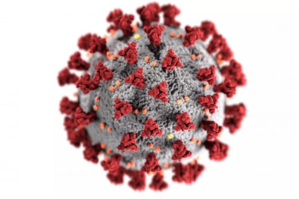 En esta ilustración, creada en los Centros para el Control y la Prevención de Enfermedades de EE. UU., se revela la morfología ultraestructural que muestran los coronavirus. Imagen: CDC