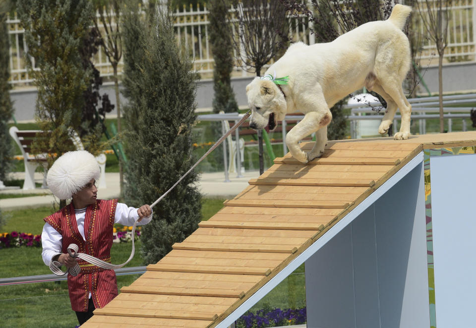 A man dressed in a national costume performs with his border guard shepherd dog Alabay during Dog Day celebration in Ashgabat, Turkmenistan, Sunday, April 25, 2021. The Central Asian nation of Turkmenistan has celebrated its new state holiday honoring the native Alabay dog breed. President Gurbanguly Berdymukhamedov established the holiday to be observed on the same day that Turkmenistan lauds its Akhla-Teke horse, a breed known for its speed and endurance. (AP Photo)