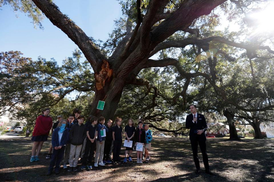 Savannah Alderman Nick Palumbo is joined by students from Charles Ellis Montessori Academy as they say goodbye to a popular Live Oak in McCauley Park that is slated to be removed after it lost a huge limb earlier this year.