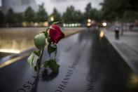 A wilting rose is left in remembrance of those lost before the memorial observances held at the site of the World Trade Center in New York, September 11, 2014. REUTERS/POOL-Andrew Burton