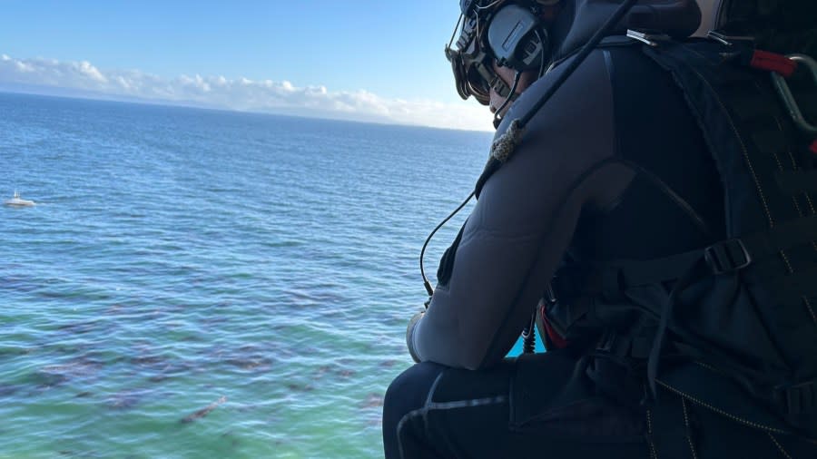 Pilot, dog swim to shore after ocean landing in SoCal