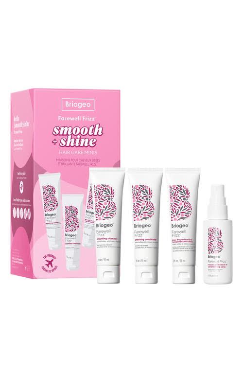 Farewell Frizz™ Smooth & Shine Hair Care Minis Set