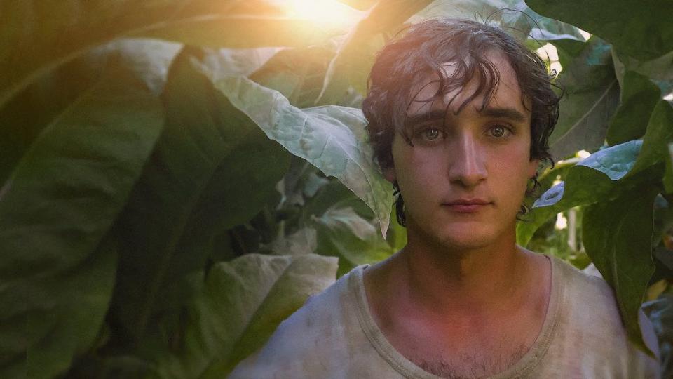 <i>Happy as Lazzaro</i>