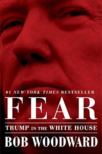 7) Fear: Trump in the White House