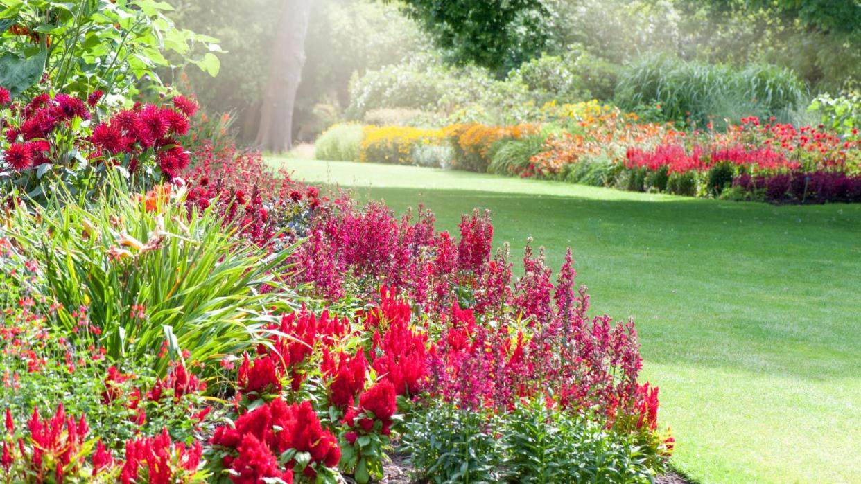 Colorful herbaceous flower borders