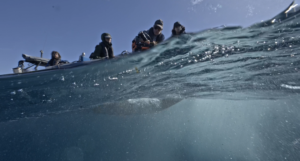 A Greenpeace crew can be seen above the ocean level. The shot also captures a little bit of the water below the surface.