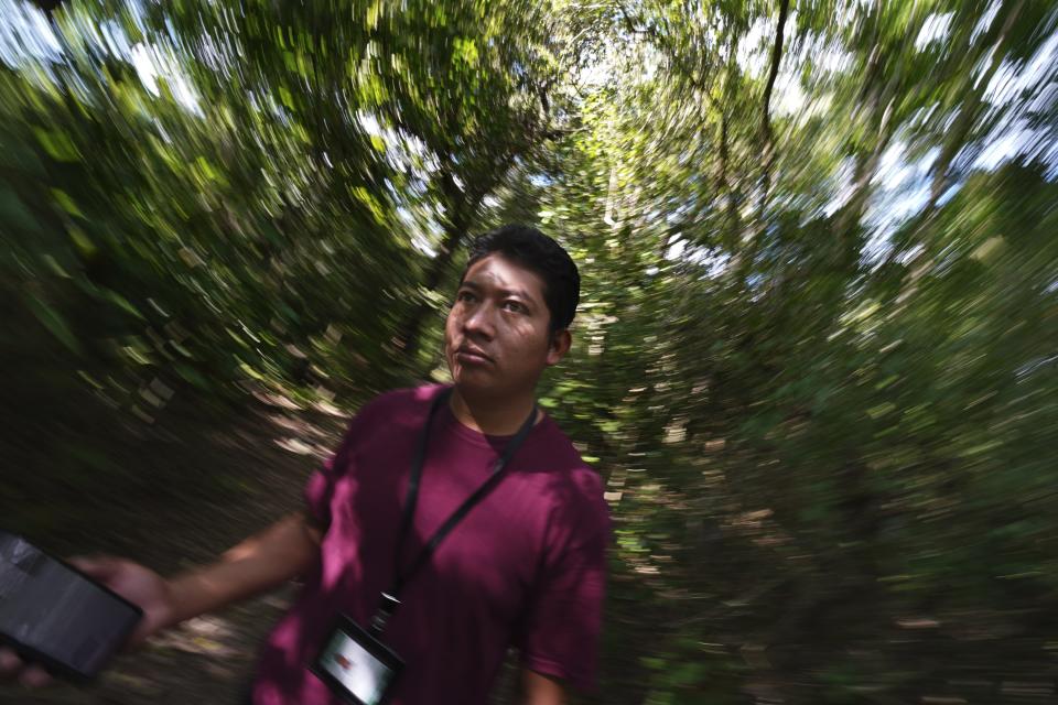 Miguel Ángel Díaz, un guía turístico, camina por la selva de Calakmul en la Península de Yucatán, México, el miércoles 11 de enero de 2023. El Tren Maya que se detendrá cerca tiene como objetivo impulsar el desarrollo económico y turístico de algunas de las áreas más pobres del país, pero preocupa el impacto que tendrá en el medio ambiente. (Foto AP/Marco Ugarte)