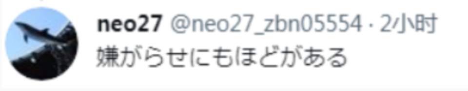 韓國奧委會這做法引發了日本網友的不滿與憤怒，網由留言：「極為失禮，如果討厭日本的話就回去吧！」   圖：翻攝自推特