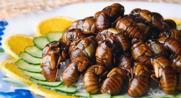 <p>Salzstangen und Erdnüsse sind euch auf Dauer zu langweilig? Dann ist „hachinoko“ genau der richtige Snack für euch: Frittierte Bienenlarven. Mahlzeit! (Bild: budgettravel.com) </p>