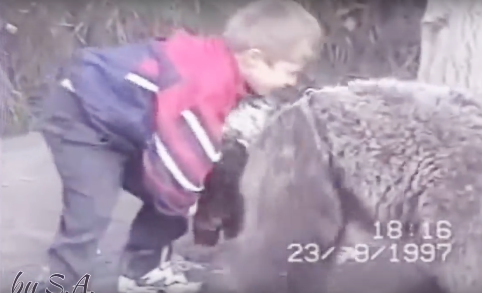Khabib Nurmagomedov peleó con un oso con 9 años de edad. Live Leak.