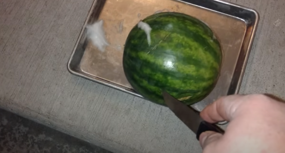 slicing into a watermelon that's foaming on top of a baking sheet