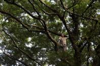 The Wider Image: Taiwan plant hunters race to collect rare species before they are gone