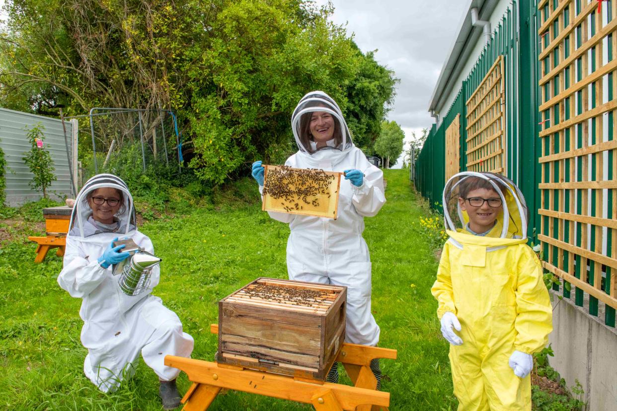 A hospital has introduced hives to help children get over the bee and wasp sting-fear. (Brian Lougheed/PA)