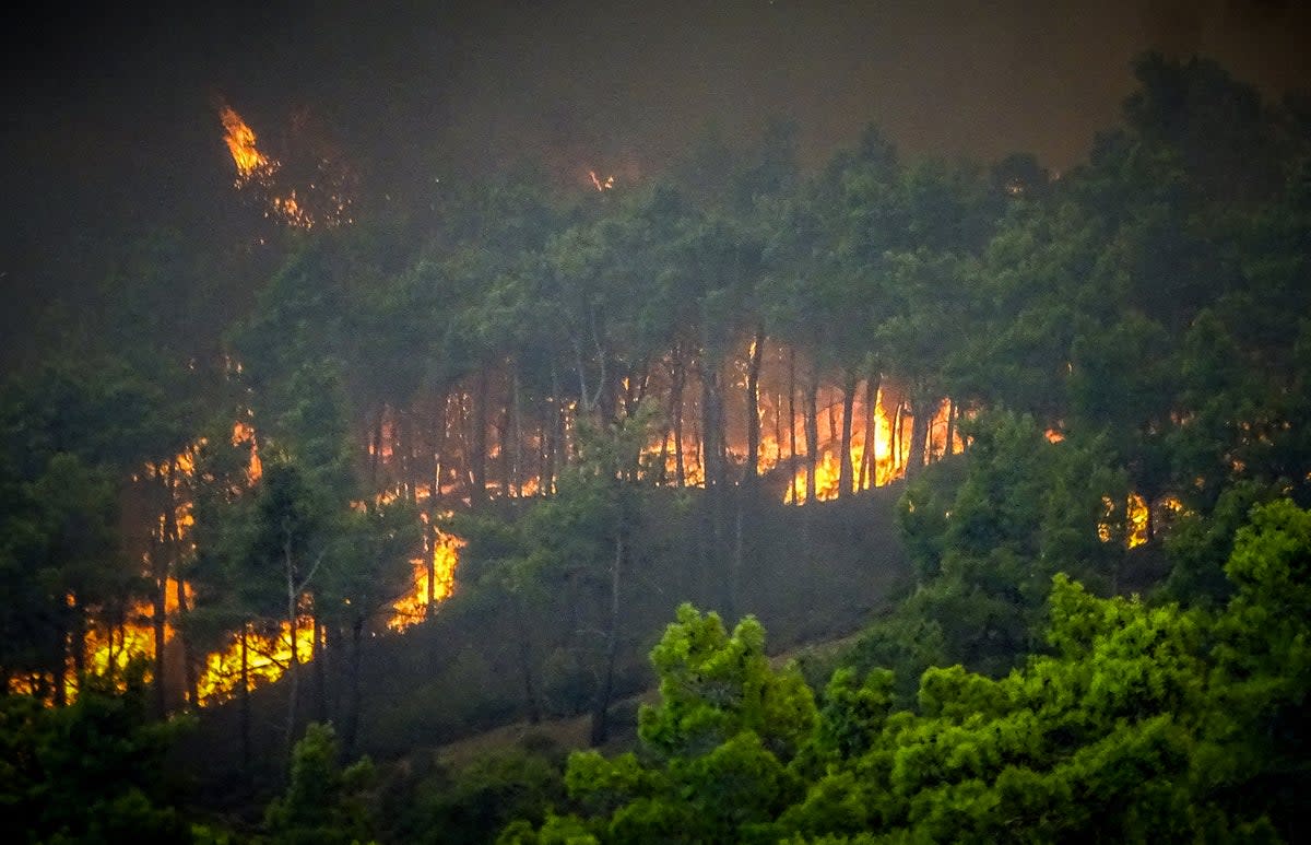 Smoke rises from a wildfire on the island of Rhodes on July 22 (via REUTERS)