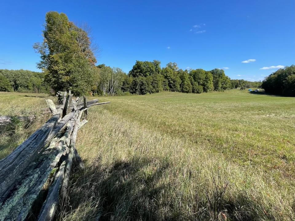 The site of the proposed pit by Cavanagh Construction. The company says there is about two million tonnes of high quality sand and gravel in the site.