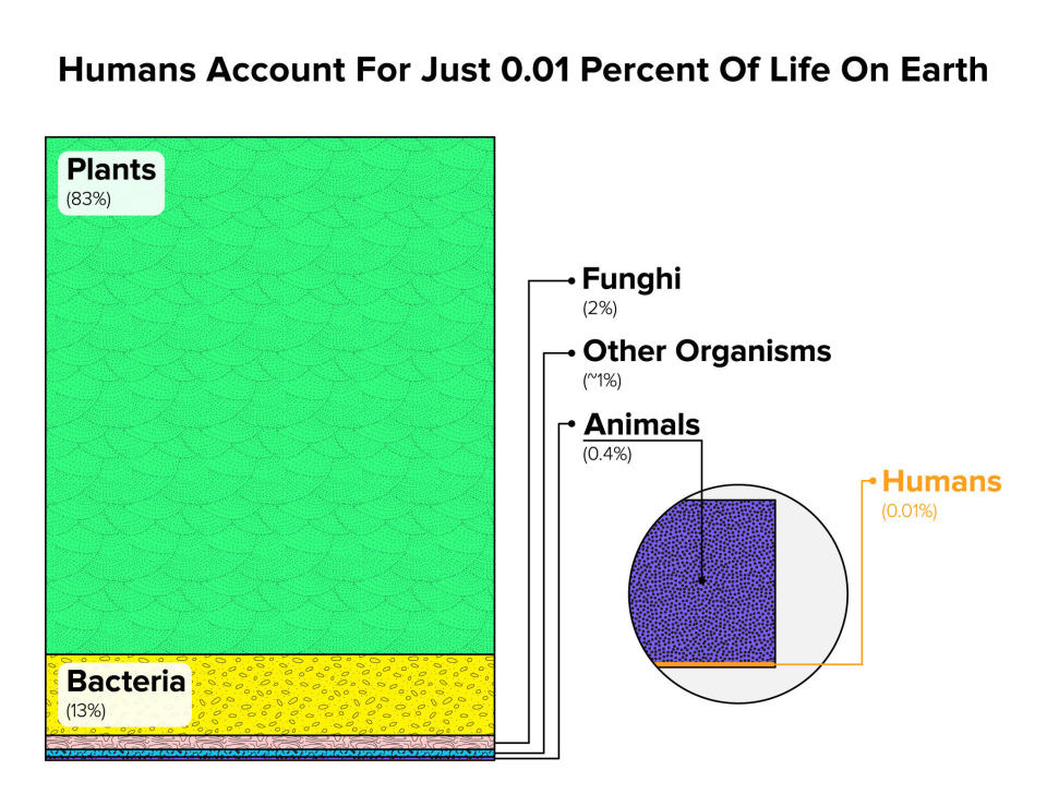 Human have had a huge impact on the world but we make up a tiny fraction of the living world. In the first ever calculation of the biomass of life on Earth, scientists found that humans make up just 0.01 percent of all living things. Source:&nbsp;Yinon M. Bar-On, Rob Phillips, and Ron Milo, PNAS, 2018 (Photo: Jade Marucut for HuffPost)