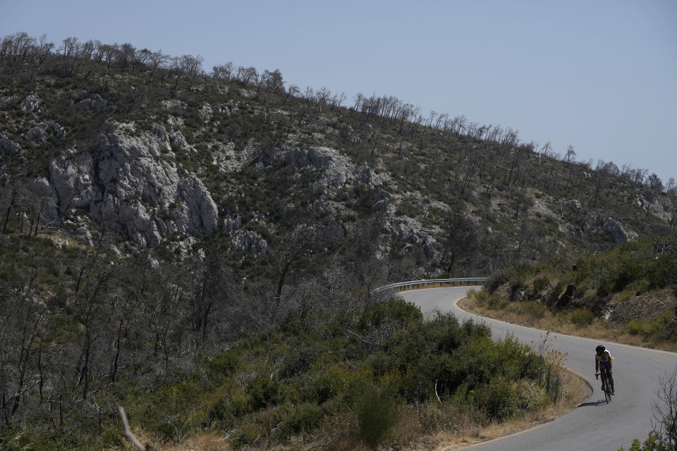 A man with a bicycle passes Tatoi area on Parnitha mountain which had been burned in an Aug. 2021 wildfire, in northern Athens, Friday, Aug. 23, 2024. (AP Photo/Thanassis Stavrakis)