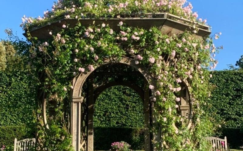 Seend House boasts a spectacular four-acre walled garden designed by Julian and Isobel Bannerman - National Garden Scheme