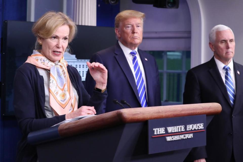 Trump prompted awkwardness when he asked if Dr Birx had heard of heat and light in relation to coronavirus. ‘Not as a treatment,’ she said.