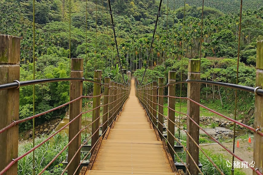 雲林古坑｜華山園區小天梯＆情人橋