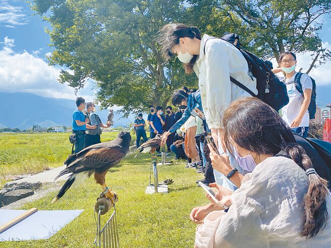 池上青年培力站推出友善環境食農小旅行，體驗田間猛禽友善驅鳥。（蔡旻妤攝）