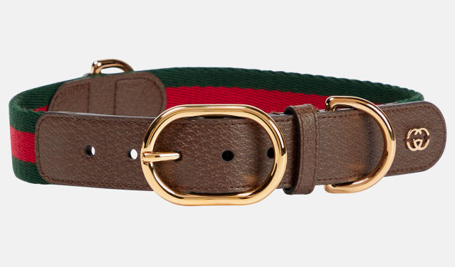 gucci dog harness