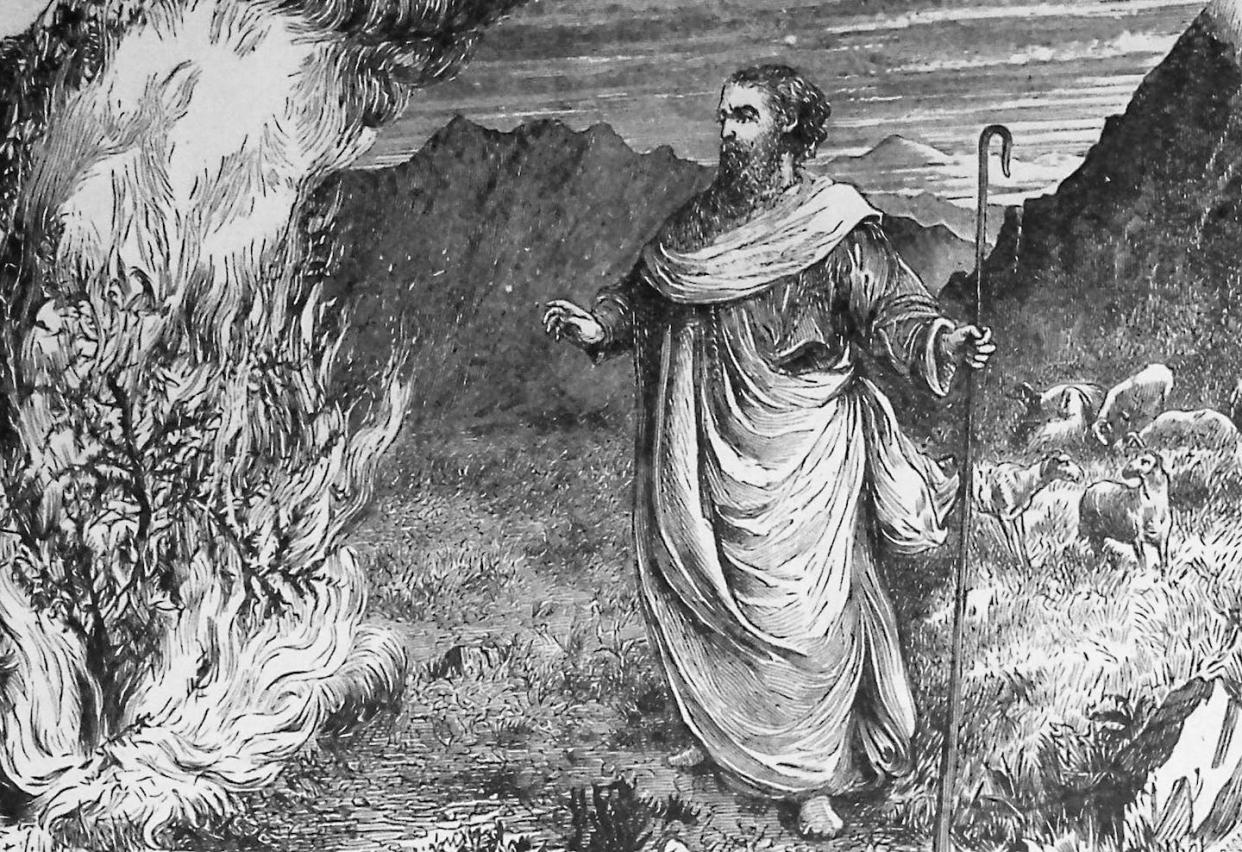 Mount Sinai is mentioned in the second book of the Bible, Exodus, as the site where Moses received his first instruction from God. <a href="https://www.gettyimages.com/detail/news-photo/the-burning-bush-is-an-object-described-by-the-book-of-news-photo/1354443003?adppopup=true" rel="nofollow noopener" target="_blank" data-ylk="slk:Pictures From History/Universal Images Group via Getty Images;elm:context_link;itc:0;sec:content-canvas" class="link ">Pictures From History/Universal Images Group via Getty Images</a>