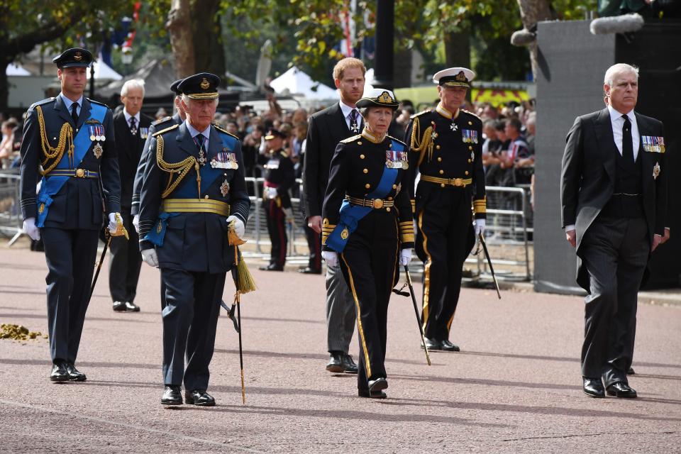 Members of the royal family walking behind the coffin.