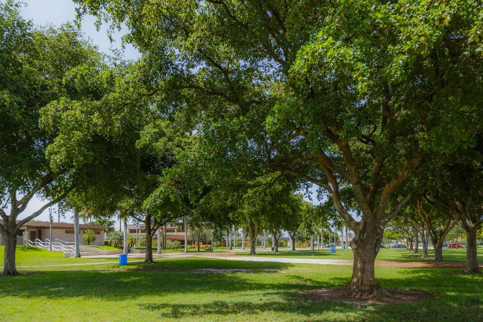 A view of Gaines Park in West Palm Beach.