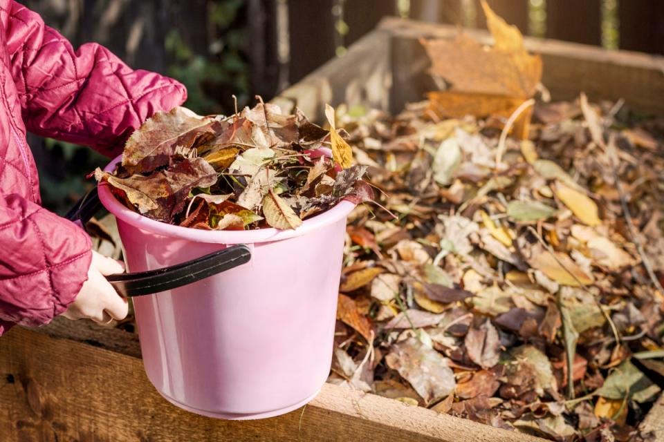 Girl wearing pink jacket using a pink bucket to transport fallen leaves to garden bed.