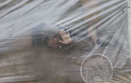 A Palestinian boy looks through nylon sheet covering his family tent in the West Bank Beduin village of Farsiyah,in the northern Jordan Valley January 6, 2015. REUTERS/Abed Omar Qusini