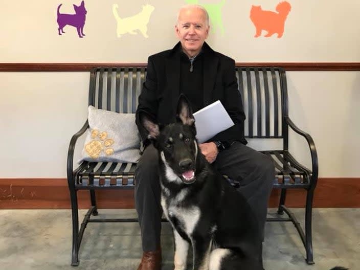 Animal shelter to host ‘indoguration’ for Major Biden ahead of White House move  (Delaware Humane Association )