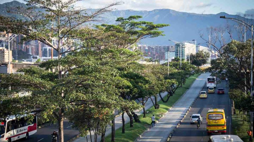 Pico y placa en Medellín. Foto: Ugo Leonardo - Pixabay