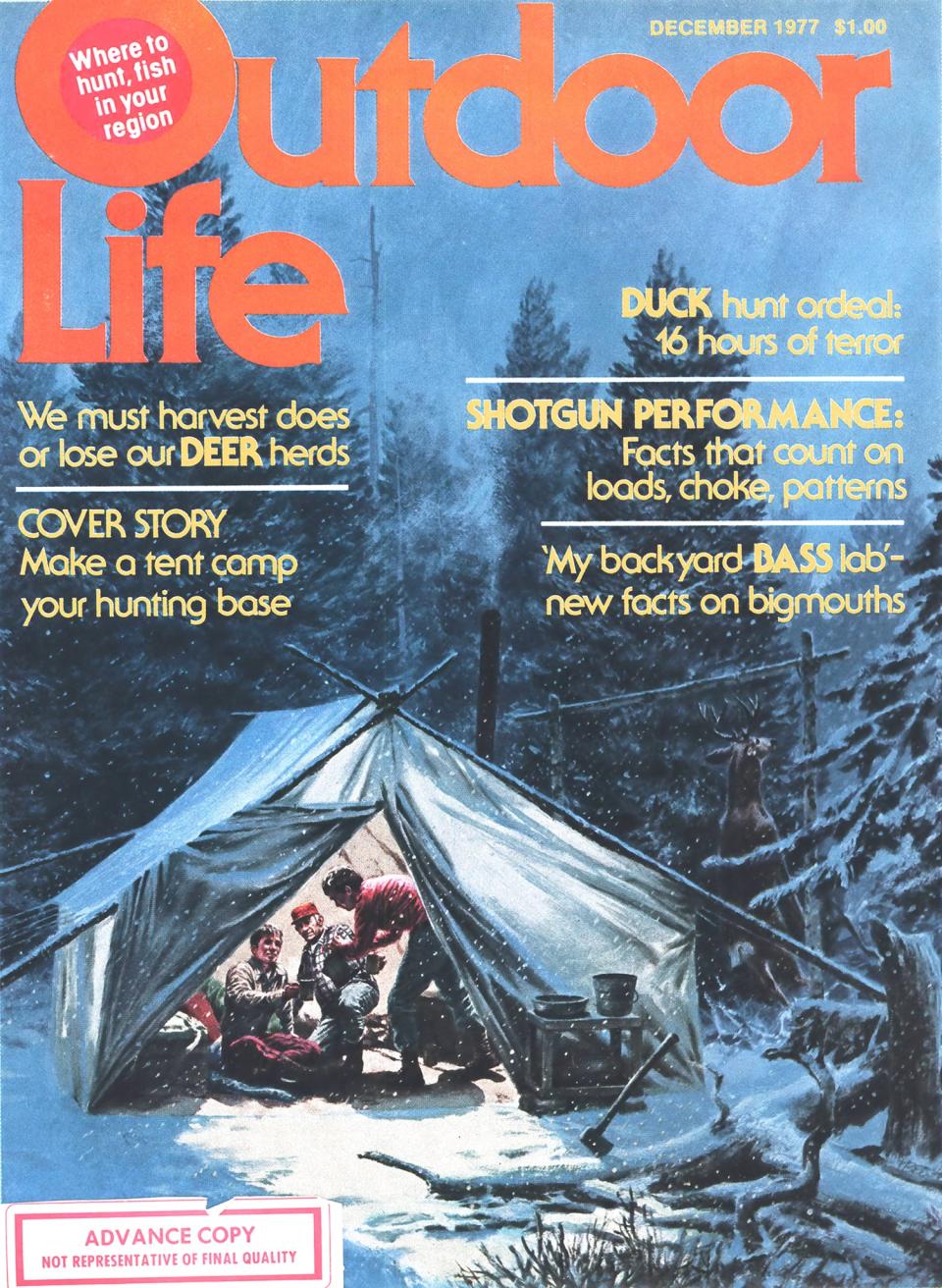 December 1977: A classic wall-tent scene with (look closely) a good buck on the meatpole.