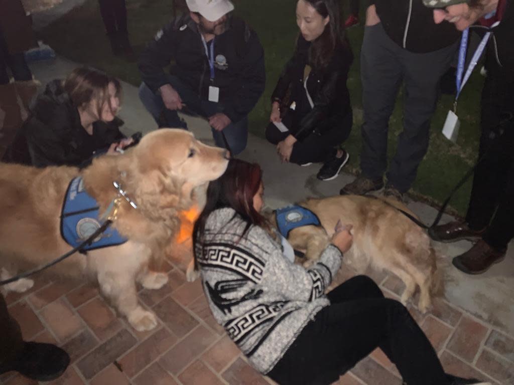 A group spends time with two golden retrievers of the Lutheran Church Charities K‐9 Comfort Dog Ministry at a Monday night vigil held in honor of those impacted by the deadly mass shooting in Monterey Park, California, on Jan. 21, 2023.