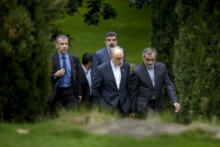 The Head of the Iranian Atomic Energy Organization Ali Akbar Salehi (2nd R) talks with Hossein Fereydoon, special assistant to the Iranian president, while walking through a garden at the Beau Rivage Palace Hotel during an extended round of talks in Lausanne, in this file photo taken on April 2, 2015. REUTERS/Brendan Smialowski/Pool