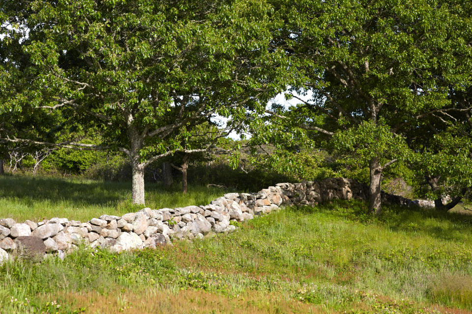 Red Gate Farm. Image: Christie's International Real Estate